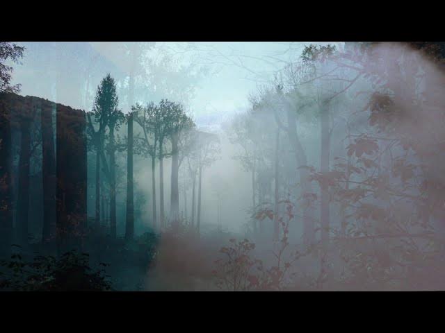 Video thumbnail for The Coming Together of all Multiplicities - Initiations with Mystic, Marilynn Hughes