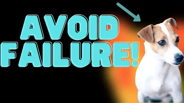 Video thumbnail for Why Jack Russell Terriers Owners Fail (What Can You Do Better?)