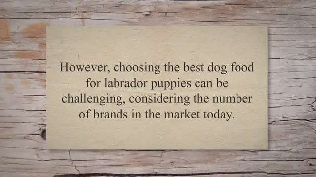 Video thumbnail for 10 Best Food For Labrador Puppy: Best Guide