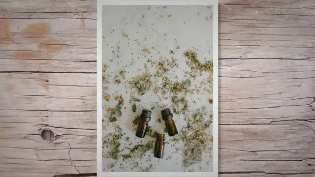 Video thumbnail for Qu'est-ce que le lycopode ?