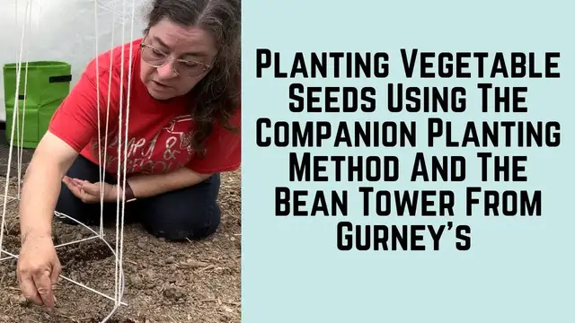 Video thumbnail for Planting Vegetable Seeds Using The Companion Planting Method And The Bean Tower From Gurney’s