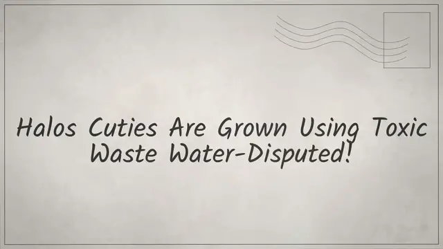 Video thumbnail for Halos Cuties Are Grown Using Toxic Waste Water-Disputed!