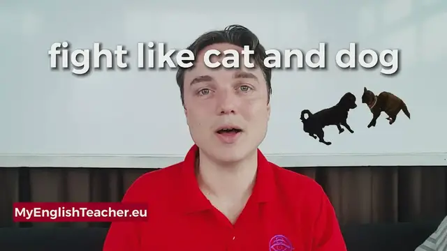 Video thumbnail for what does fight like cats and dogs mean