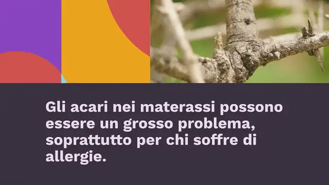 Video thumbnail for COME RIMUOVERE PER SEMPRE GLI ACARI DAL MATERASSO: PROBLEMA RISOLTO