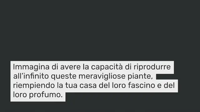 Video thumbnail for Come riprodurre all’infinito la gardenia o il gelsomino: il segreto dei fioristi viene alla luce.