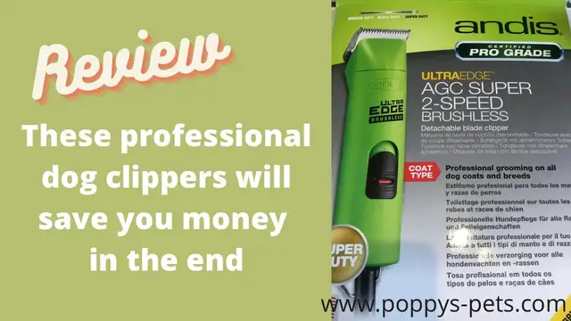 Video thumbnail for Home Dog Grooming Saves Cash:  Andis AGC2 UltraEdge Clippers