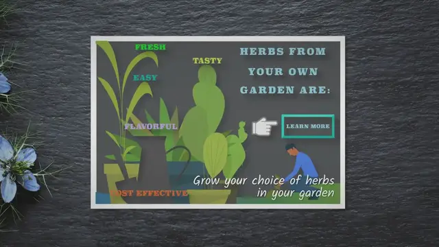 'Video thumbnail for Growing Herbs in Your Garden: A Step-by-Step Guide'