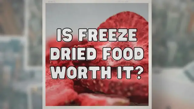 'Video thumbnail for Is It Worth Buying Freeze Dried Food? Pros and Cons'