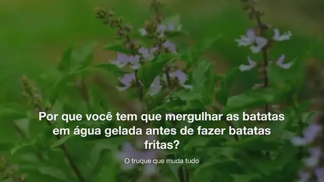 Video thumbnail for Por que você tem que mergulhar as batatas em água gelada antes de fazer batatas fritas? O truque que muda tudo
