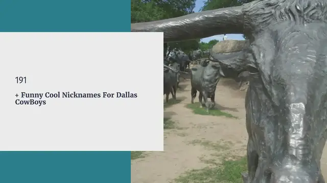 Video thumbnail for Dallas CowBoy Nicknames | Funny Cool Nicknames For Dallas CowBoys