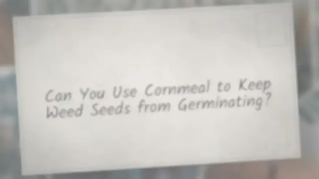 Video thumbnail for Can You Use Cornmeal to Keep Weed Seeds from Germinating?