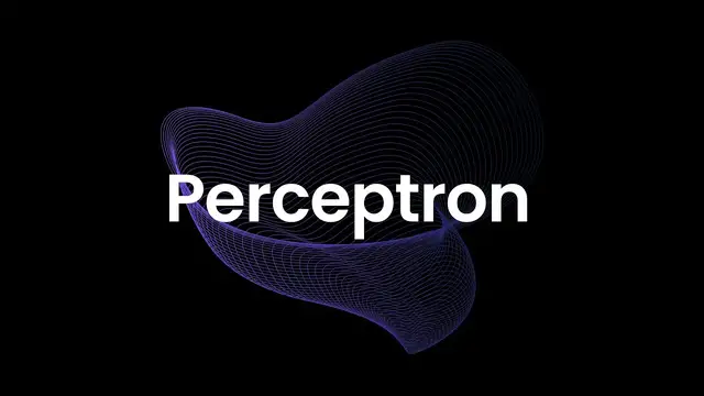 'Video thumbnail for The Perceptron Algorithm | Working, Learning, and Code Implementation'