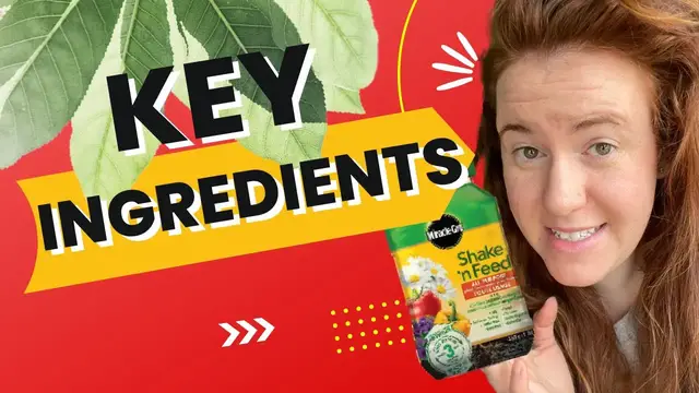 Video thumbnail for How To Read Plant Product Labels? Determining If A Plant Product Is Worth Your Money! 🌻🌿💰