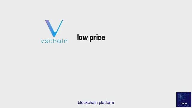 Video thumbnail for VeChain Token Benefits: VET Crypto Guide