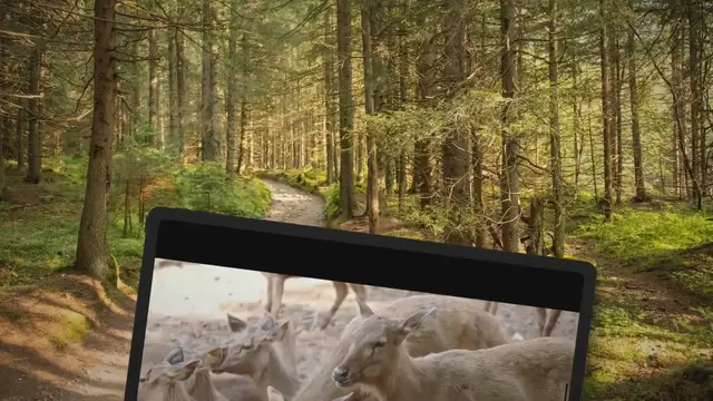 Video thumbnail for How To Go Antelope Hunting In Wyoming