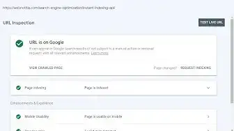 Video thumbnail for How To Use Google Instant Indexing API To Get Your Web Pages Indexed Instantly In Google