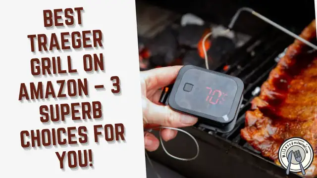Video thumbnail for Best Traeger Grill on Amazon – 3 Superb Choices for You!