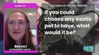 Video thumbnail for Becca thinks a pet monkey would be cute. Justin Bieber was onto something!