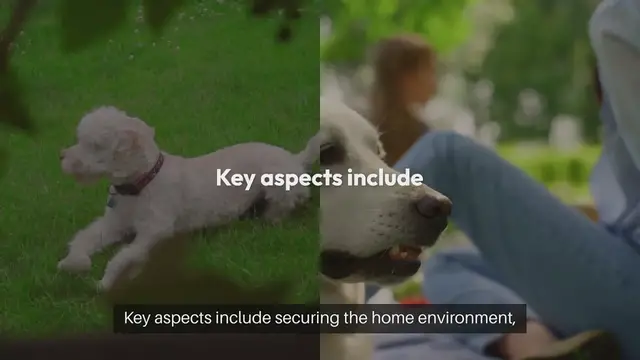 Video thumbnail for Enhancing Security for Pets
