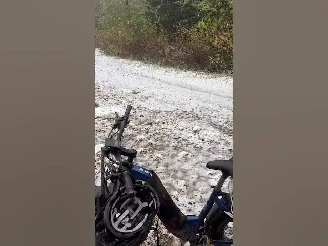 'Video thumbnail for Hunting vibes - a good day to be alive indeed!'