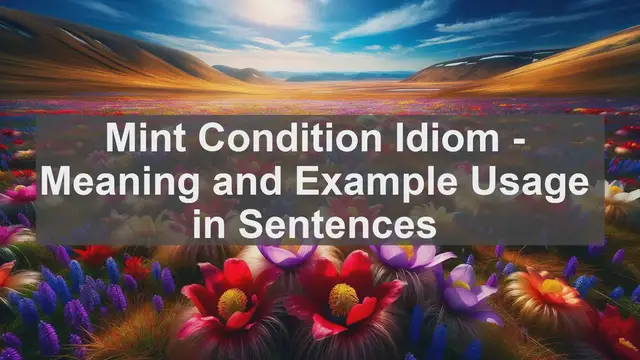 Video thumbnail for "Mint Condition" Idiom: Meaning and Usage in Sentences