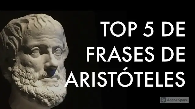 Video thumbnail for TOP 5 de Frases de Aristóteles