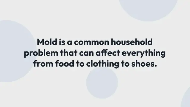 Video thumbnail for What Causes Mold on Shoes
