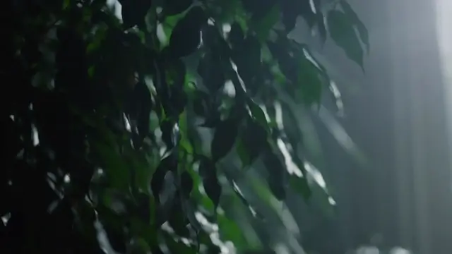 Video thumbnail for 10 Sleek and Simple Minimalist Living Room Design Ideas