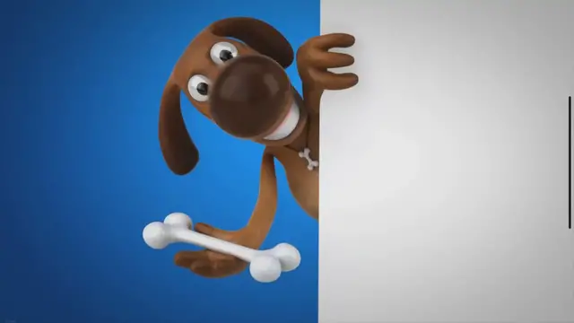 Video thumbnail for Canine Bite Patterns: Understanding Underbites