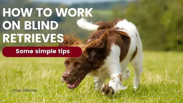 Video thumbnail for Working on blind retrieves and handling