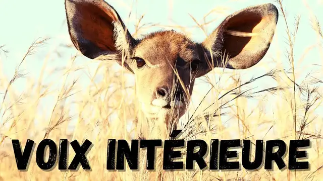 Video thumbnail for Comment écouter sa voix intérieure ? 1 exercice simple