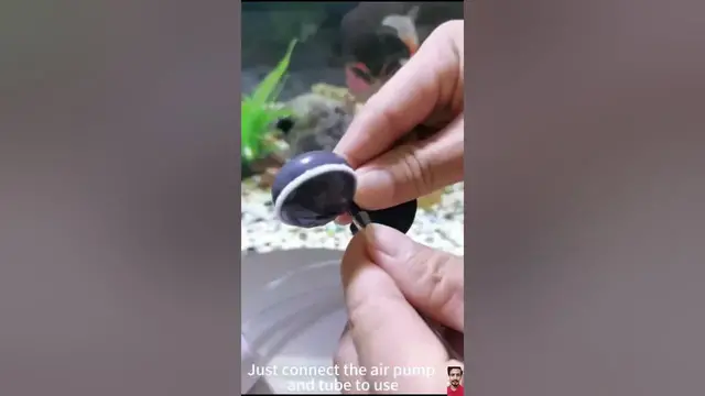 Video thumbnail for 🌟 Product Link is in Description | Mini Aquarium Oxygen Pump | #air  #accessories