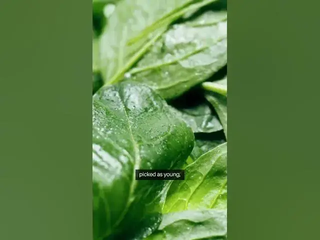 Video thumbnail for Fast Growing Veggies You Can Harvest in Under 1 Month #soil #garden #greening #facts #soilhealth