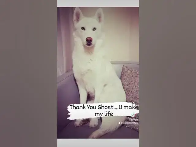 Video thumbnail for 326ca8c9c23bb83f31dfac679e9aaaa6