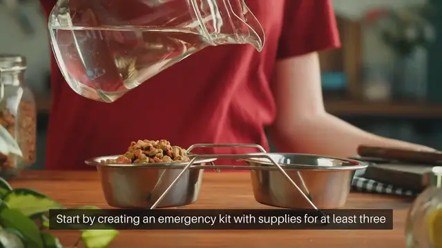 Video thumbnail for Emergency Preparedness for Pets and Livestock