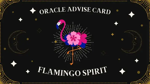 Video thumbnail for Pick A Card | Oracle Advise Card - Flamingo spirit