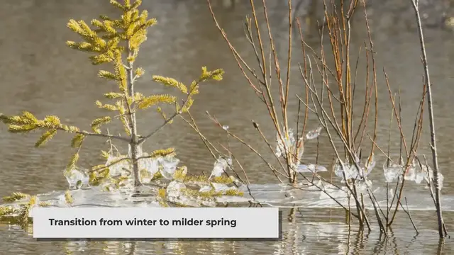 'Video thumbnail for Embracing Spring in Toronto_ Weather Shifts and Seasonal Highlights (1)'