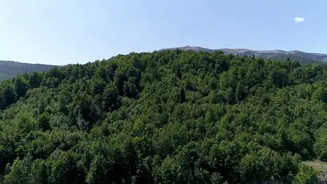 Video thumbnail for Jurassic World: A Roaring Evolution of Dinosaurs and Adventure