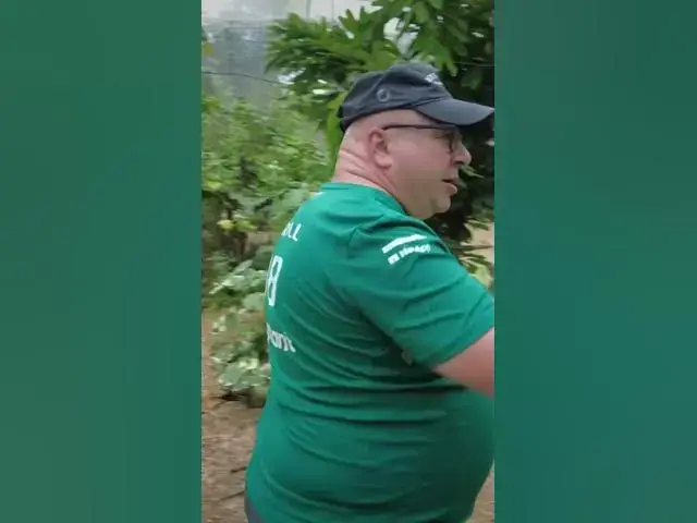 Video thumbnail for So many butterflies