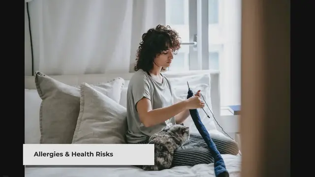 'Video thumbnail for Does Cat Hair Cause Any Disease? Debunking the Myths'