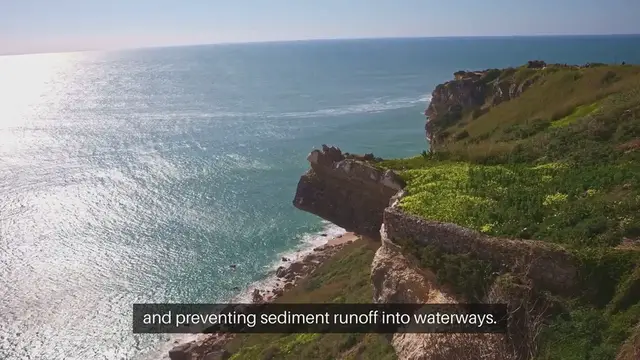 Video thumbnail for How to Build a Natural Barrier In Garden