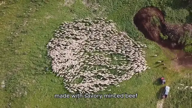 Video thumbnail for Beef Shepherd’s Pie Recipe