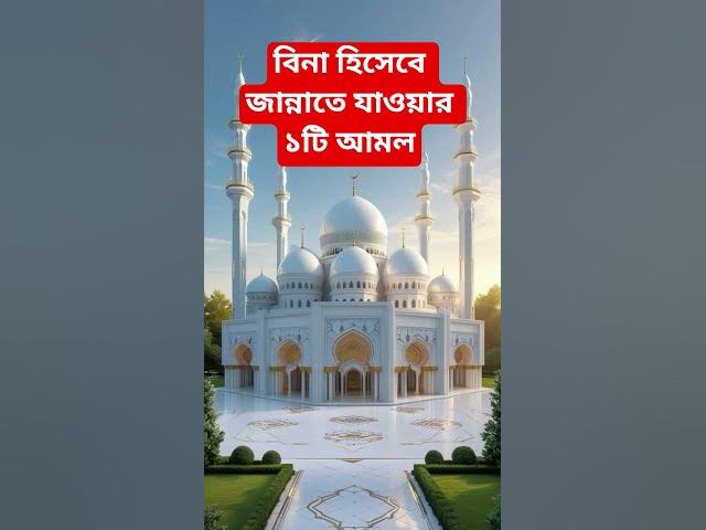 Video thumbnail for বিনা হিসেবে জান্নাতে যাওয়ার ১টি আমল#shorts #viral#sheikh_ahmadullah#islamicalortips