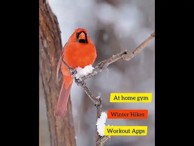 Video thumbnail for Winter Workouts