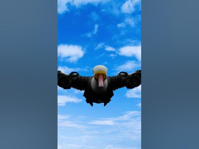 Video thumbnail for 25 June 2025