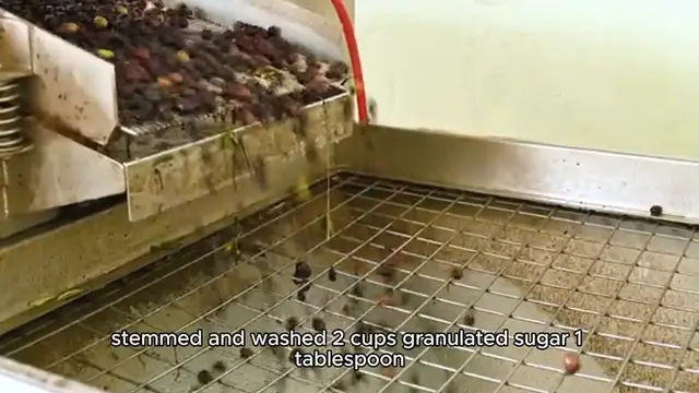 Video thumbnail for grape jelly recipe