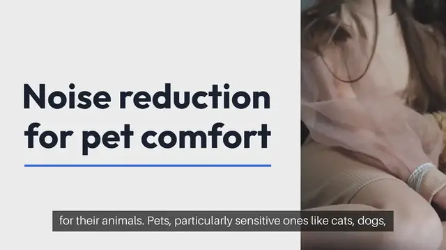 Video thumbnail for Noise Reduction for Pet Comfort