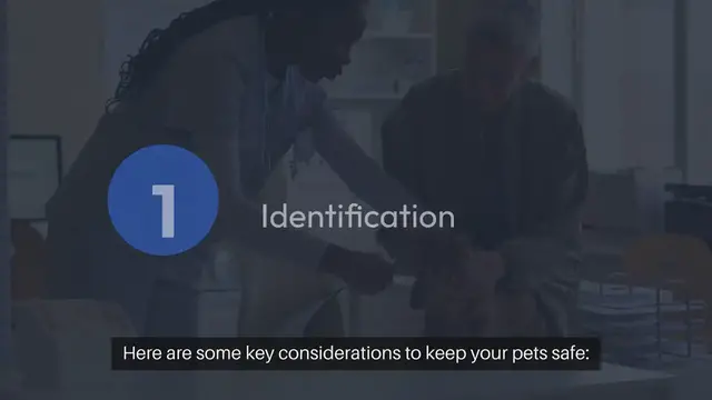 Video thumbnail for Outdoor Safety for Pets