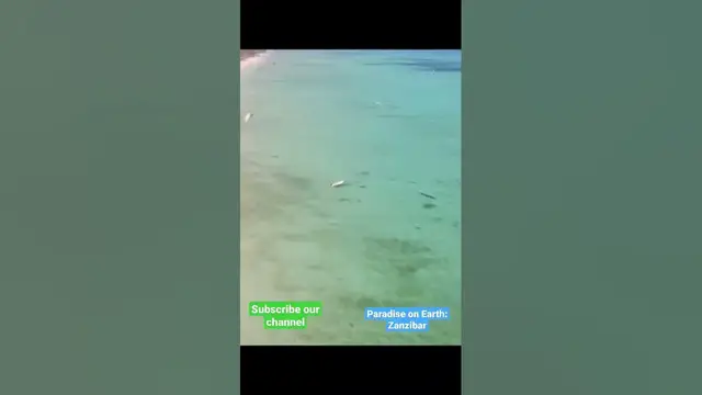 Video thumbnail for Zanzibar: the paradise on earth