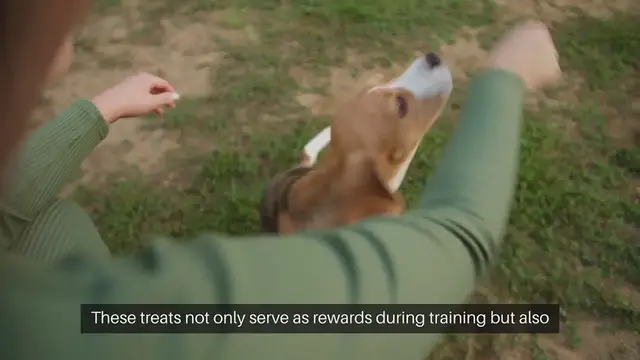 Video thumbnail for Healthy Pet Treats